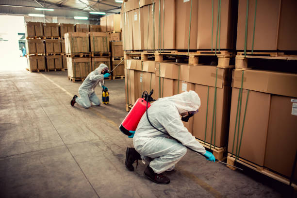 Professional Pest Control in Spring Mount, PA