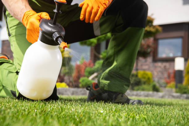 Best Pest Removal Services  in Spring Mount, PA
