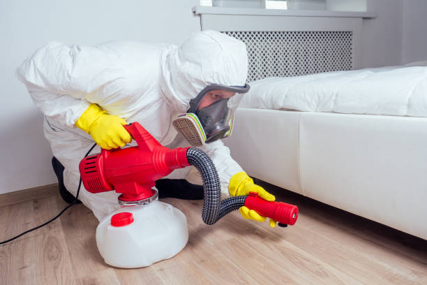 Best Emergency Pest Control  in Spring Mount, PA