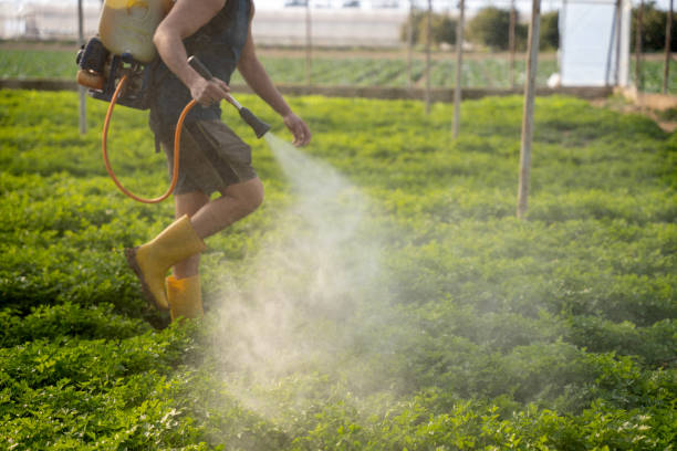 Best Commercial Pest Control Services  in Spring Mount, PA