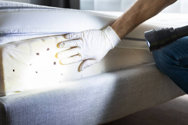 Best Pest Control Near Me  in Spring Mount, PA