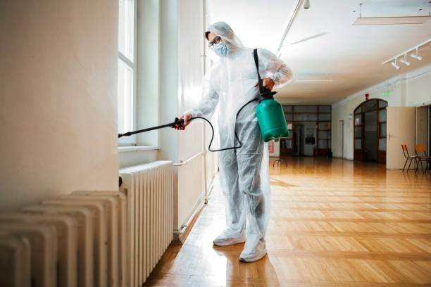 Best Rat Extermination Near Me  in Spring Mount, PA