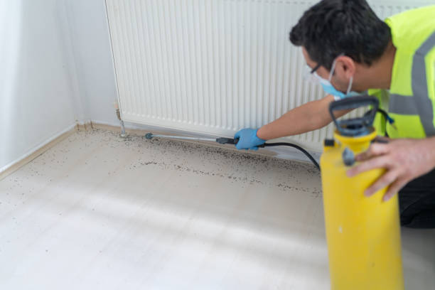 Best Local Pest Control Services  in Spring Mount, PA