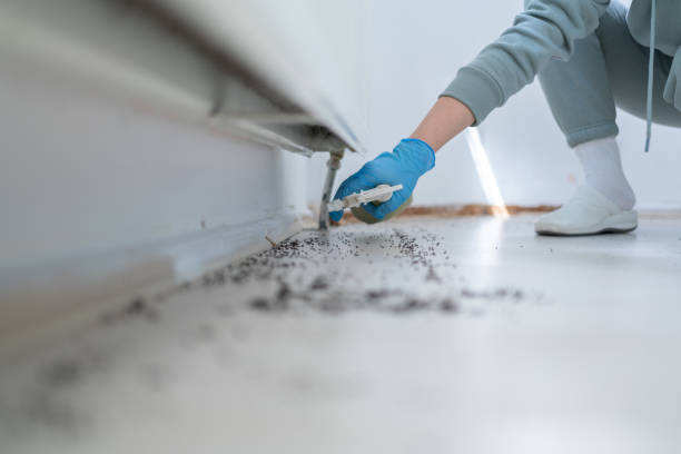 Best Mosquito Control Services  in Spring Mount, PA
